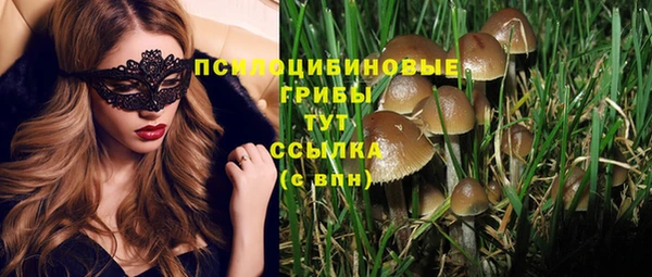 скорость Алексеевка