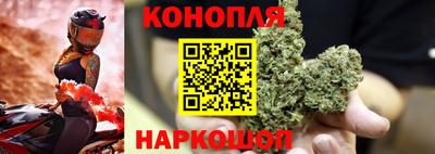 ECSTASY Заводоуковск