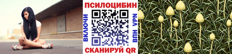 Псилоцибиновые грибы Psilocybe  Обнинск 