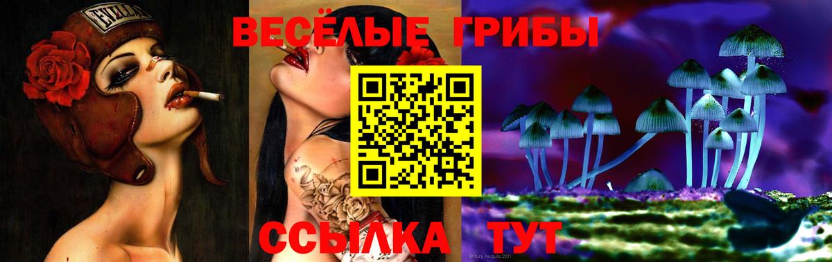 дарнет шоп  Галлюциногенные грибы ЛСД  Вход с VPN  Псилоцибиновые грибы Psilocybe  Обнинск 
