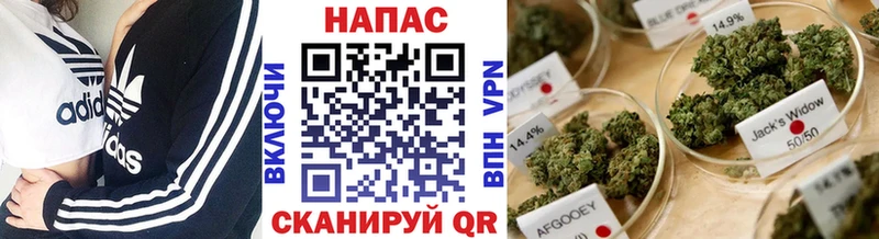 кракен ссылки  Обнинск  Бошки Шишки планчик  дарнет шоп 